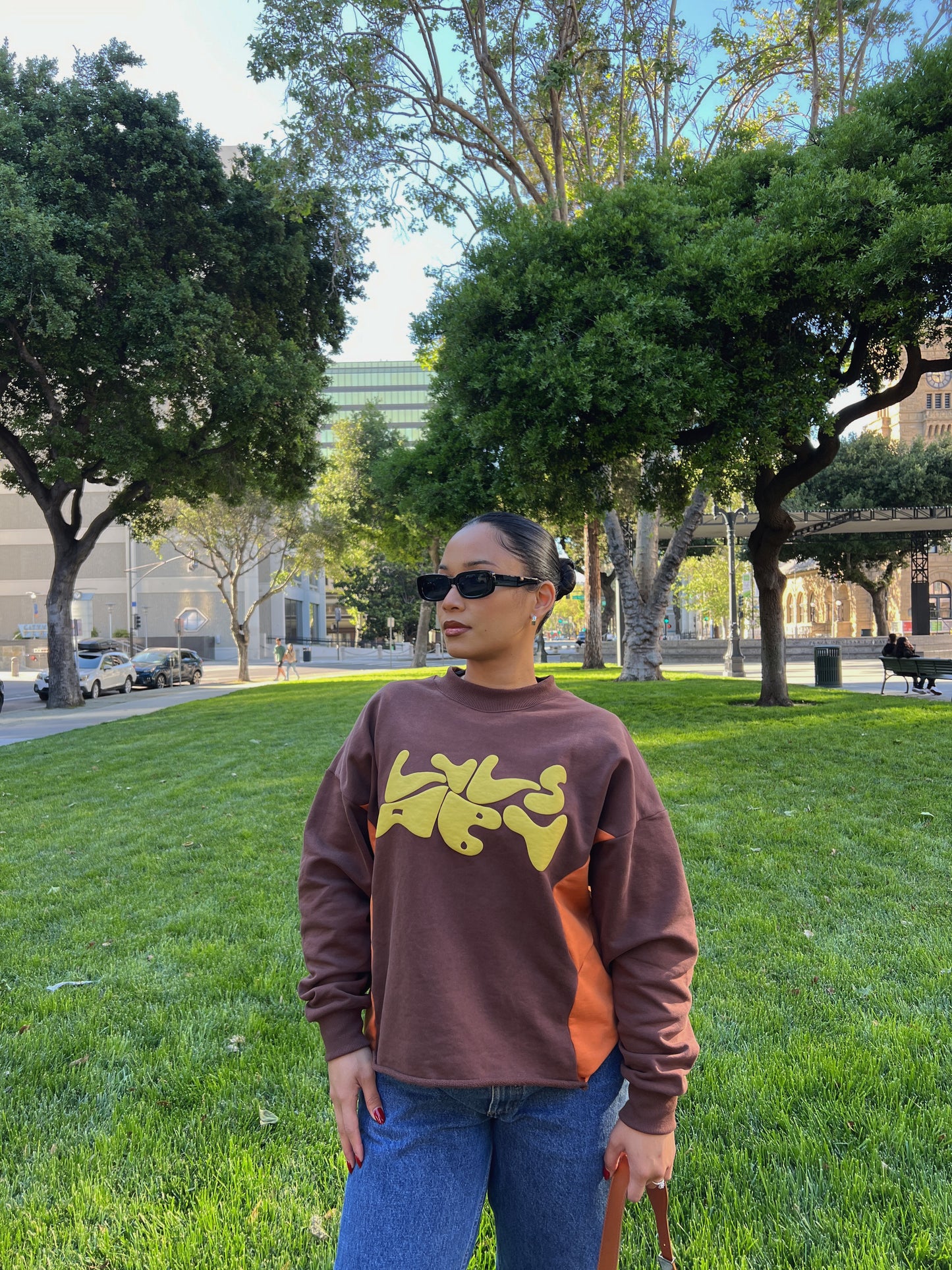DROP 002 — LVLS ABV Puff Print Crewneck