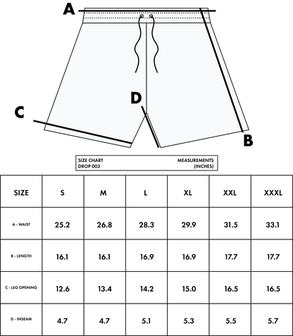 DROP 003 — LVLS ABV 5" Inseam Mesh Shorts